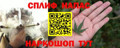прущие грибы Чебоксары