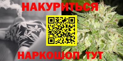 прущие грибы Чебоксары
