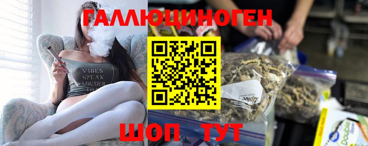 Галлюциногенные грибы прущие грибы  купить  сайты  Муравленко  Псилоцибиновые грибы Psilocybe  Вход с VPN 